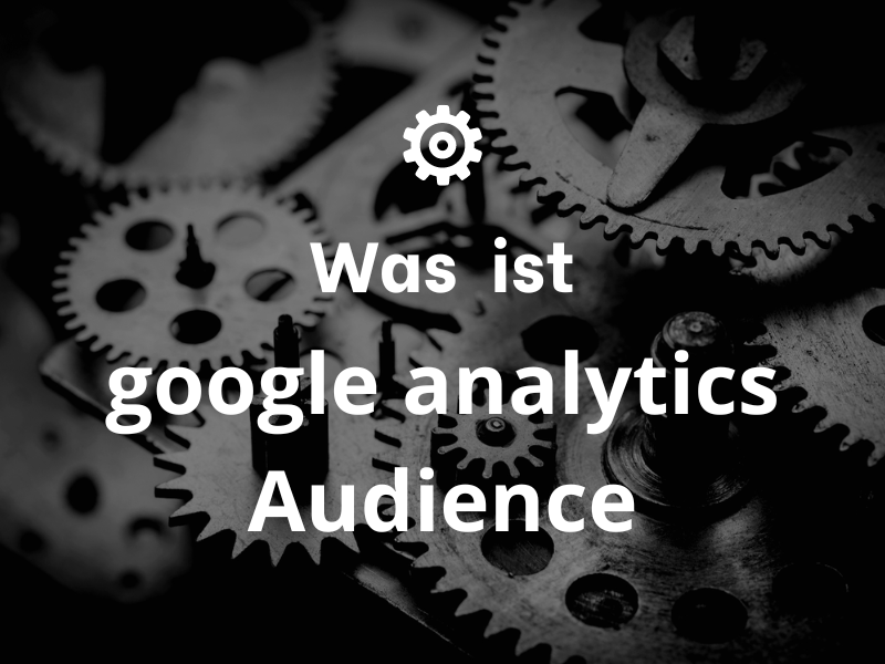 google analytics Audience