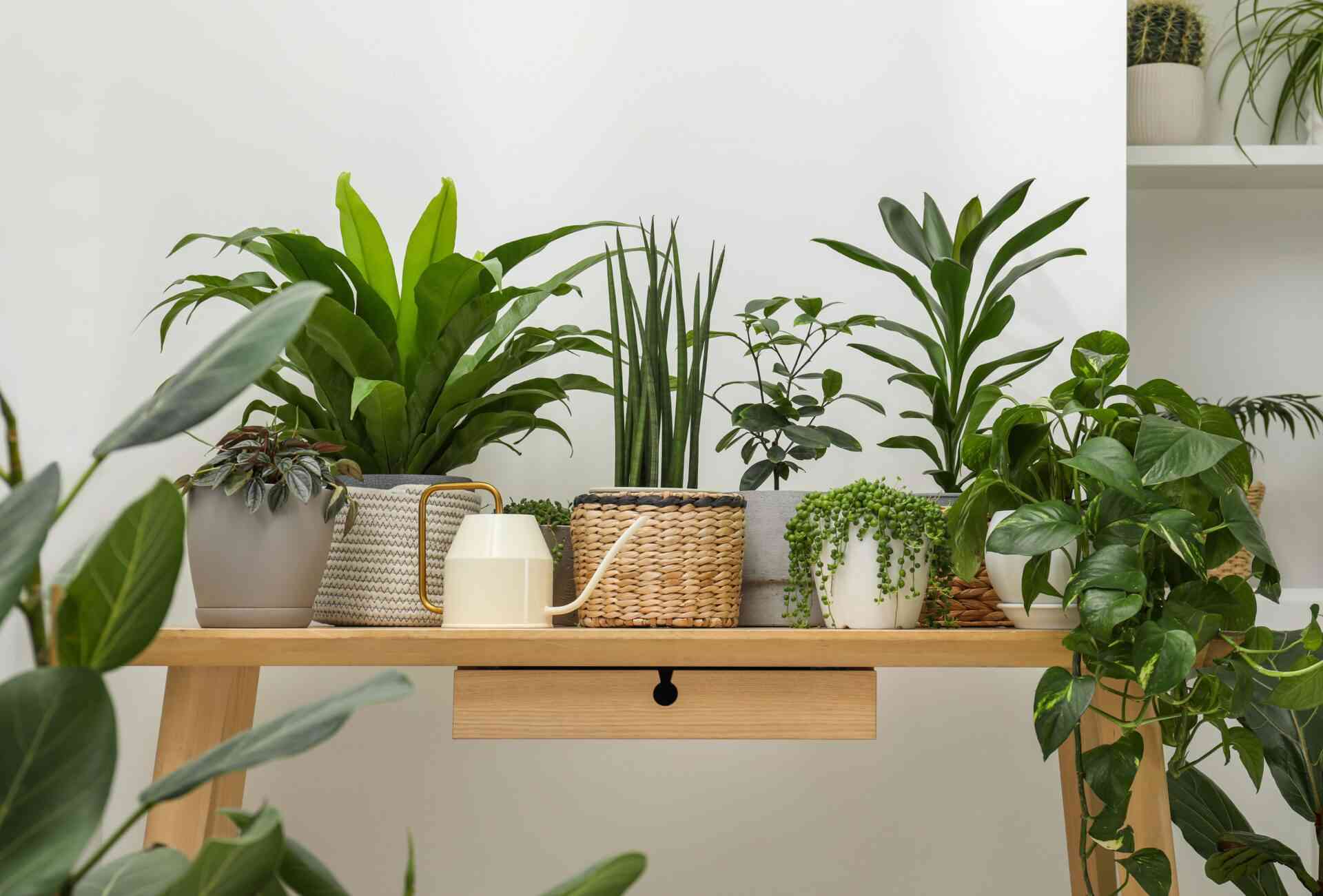 Green Me Up Case Study
